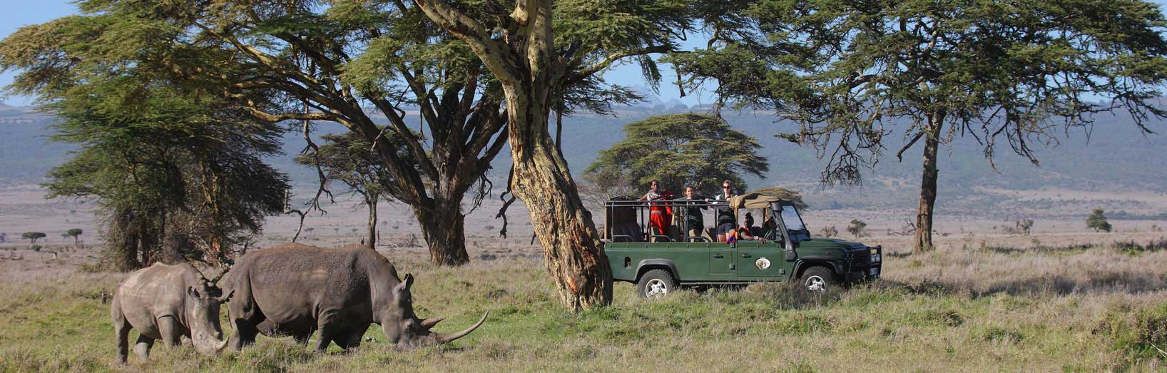 Luxury safaris in Kenya.jpg