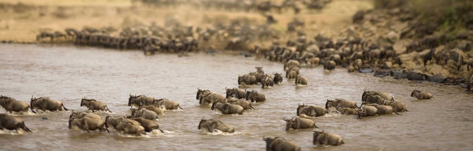 Serengeti National Park