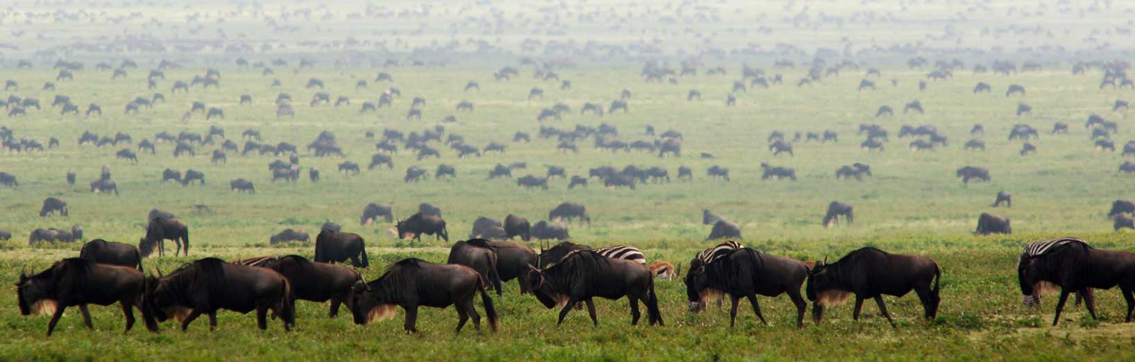 Serengeti National Park