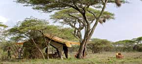 botswana