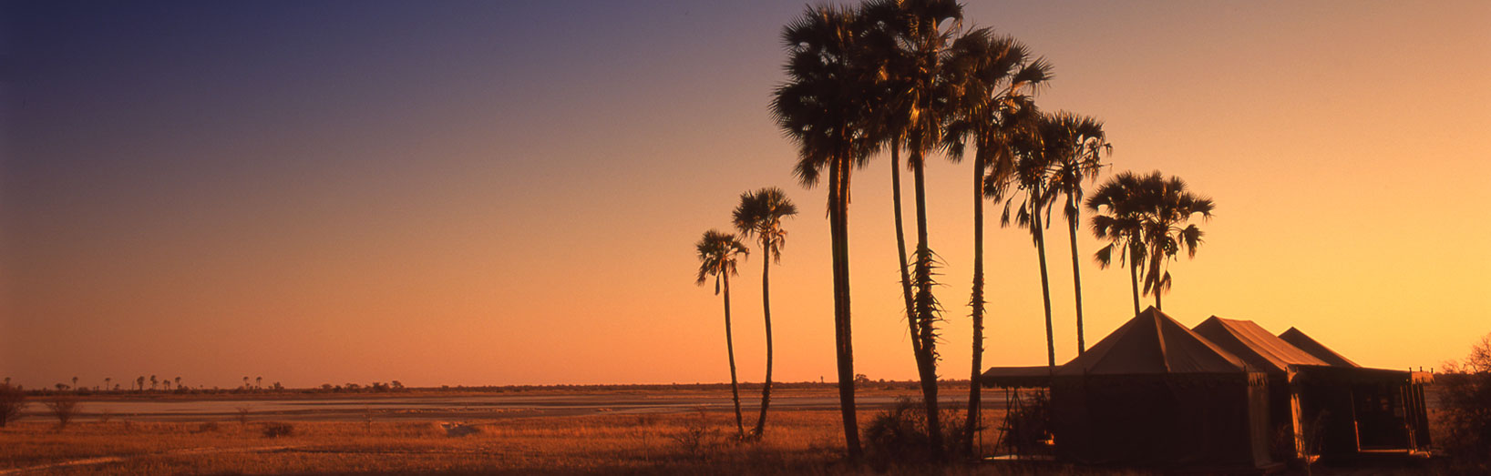 JPS Luxury Safaris Jacks Camp