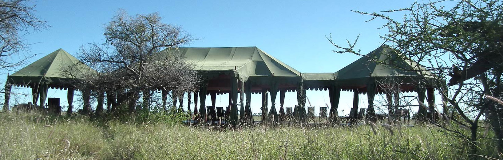 JPS Luxury Safaris Jacks Camp