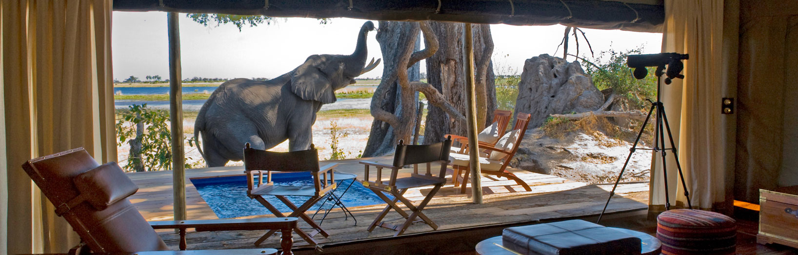 JPS Luxury Safaris Zarafa Camp