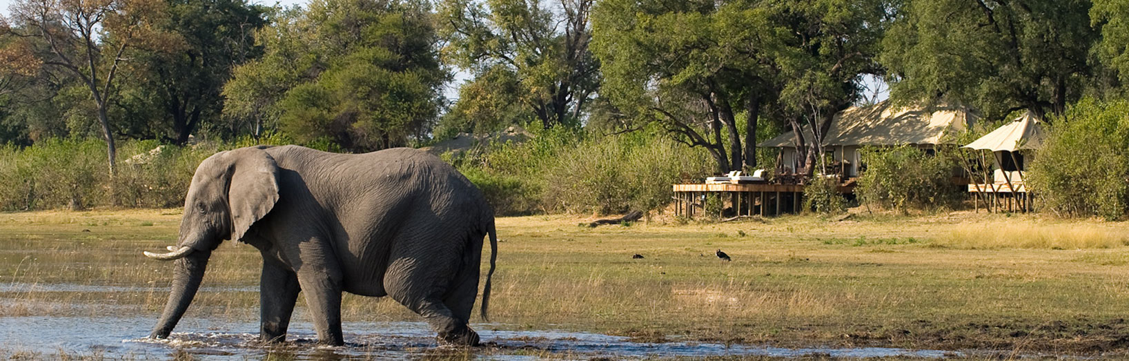 JPS Luxury Safaris Zarafa Camp