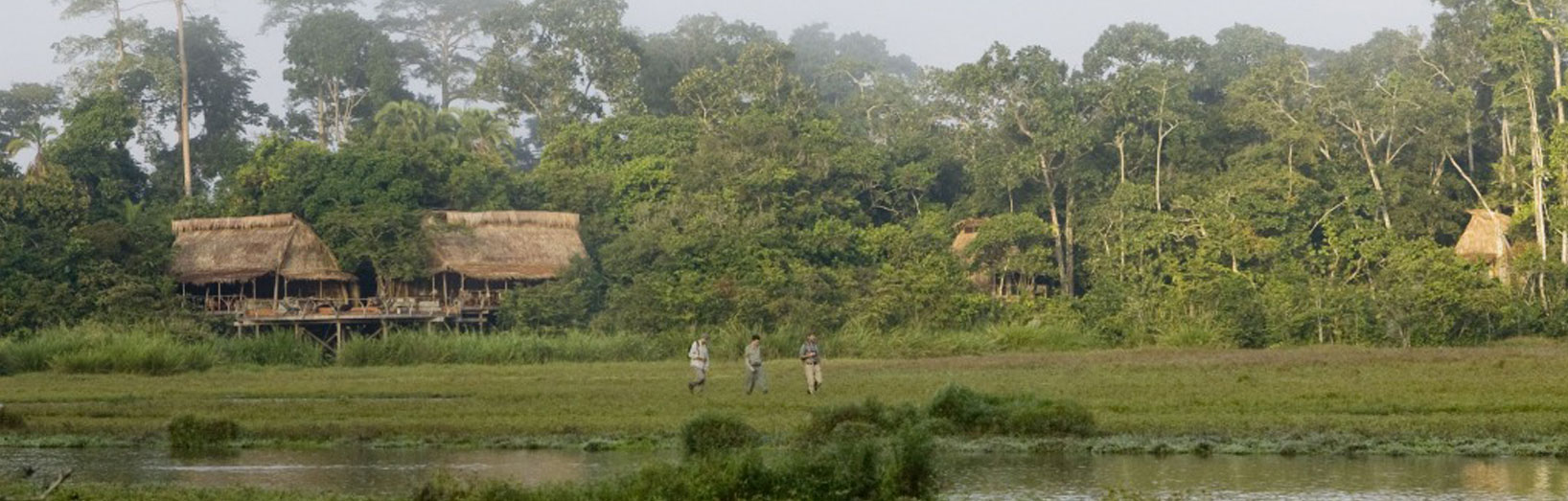 Luxury Safaris in the Congo