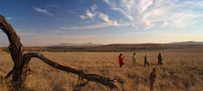 Laikipia Plateau and Meru