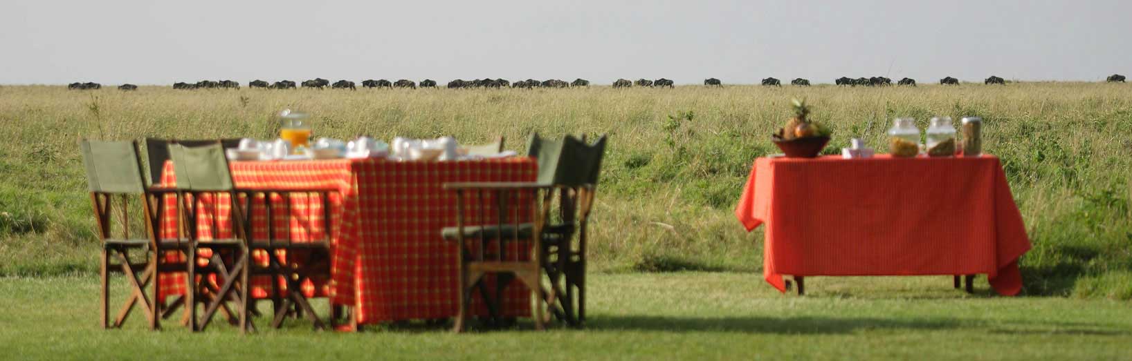 Masai Mara