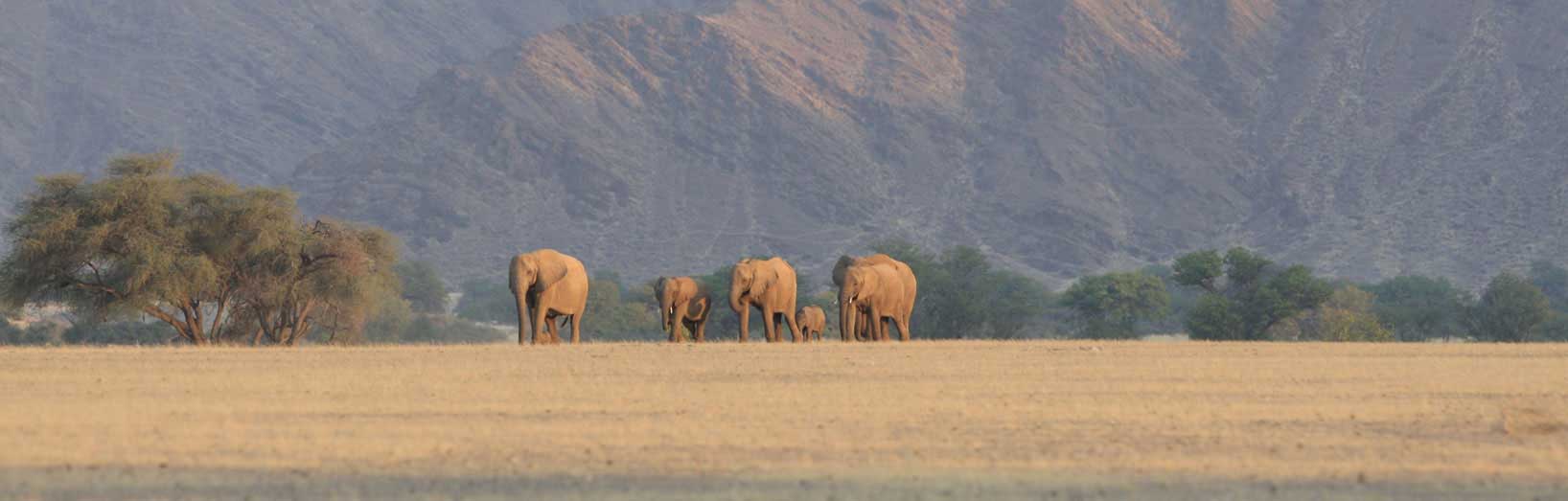 Skeleton Coast & Kunene