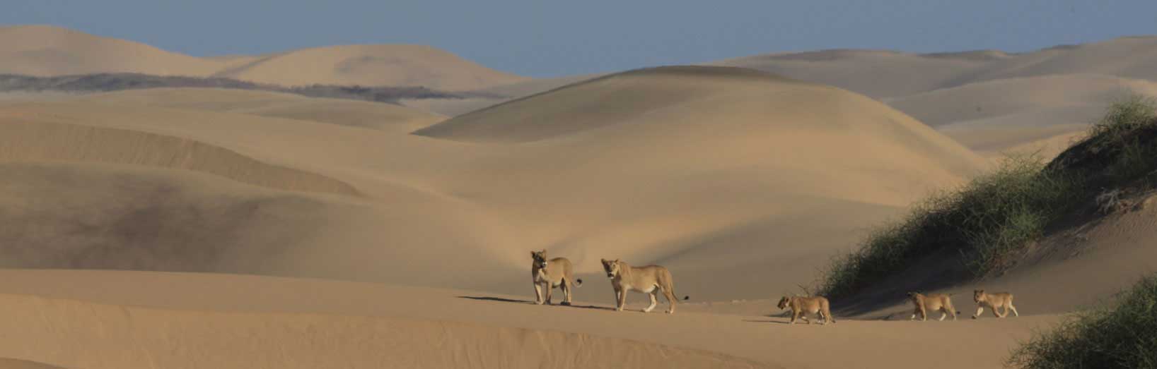 Skeleton Coast & Kunene