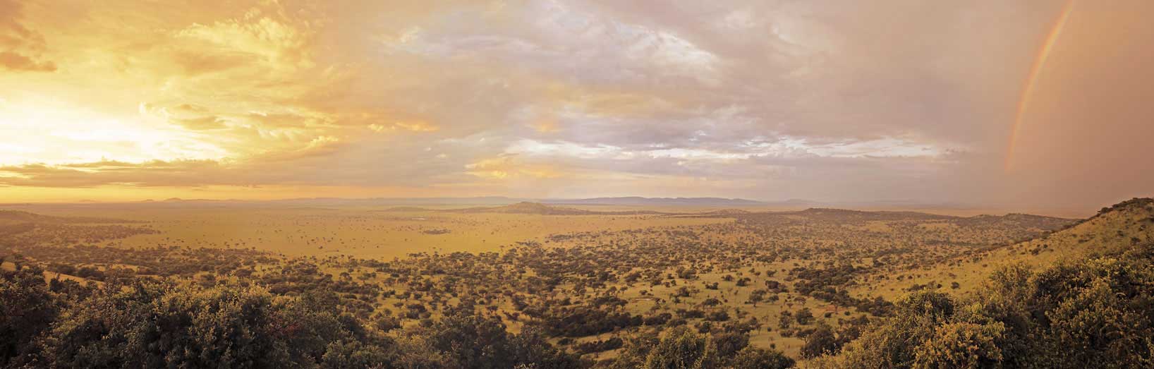 Singita Sasakwa Lodge