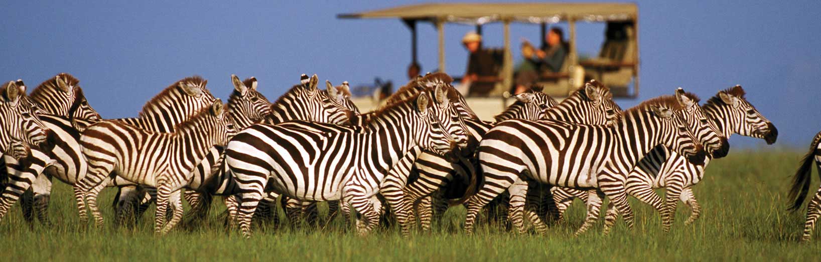 Singita Sasakwa Lodge