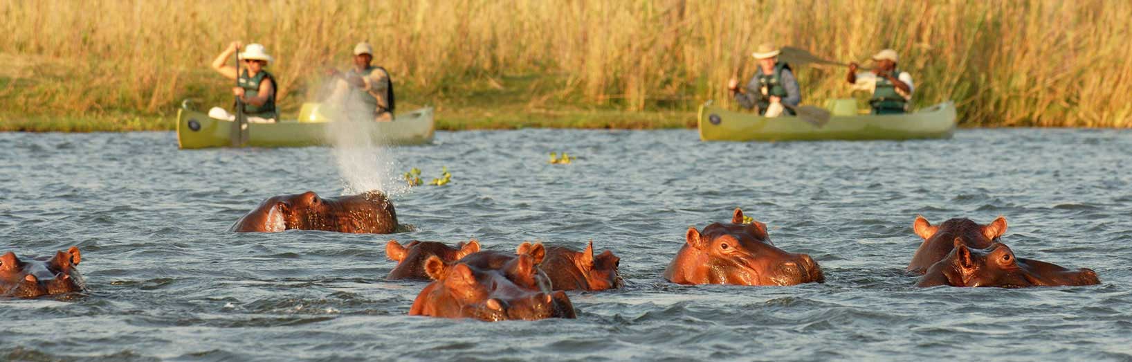 Lower Zambezi