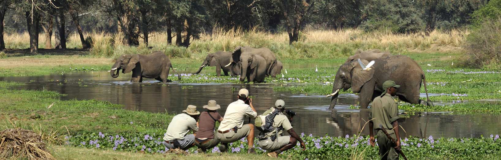 Lower Zambezi