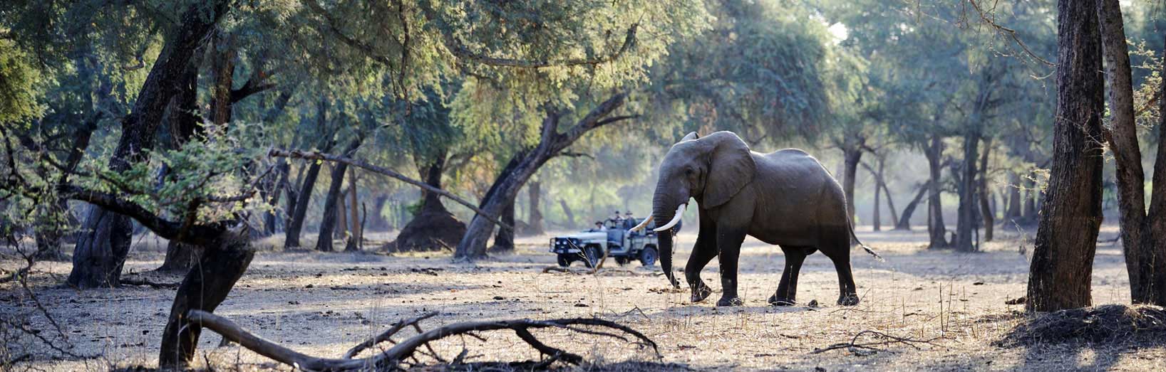 Lower Zambezi