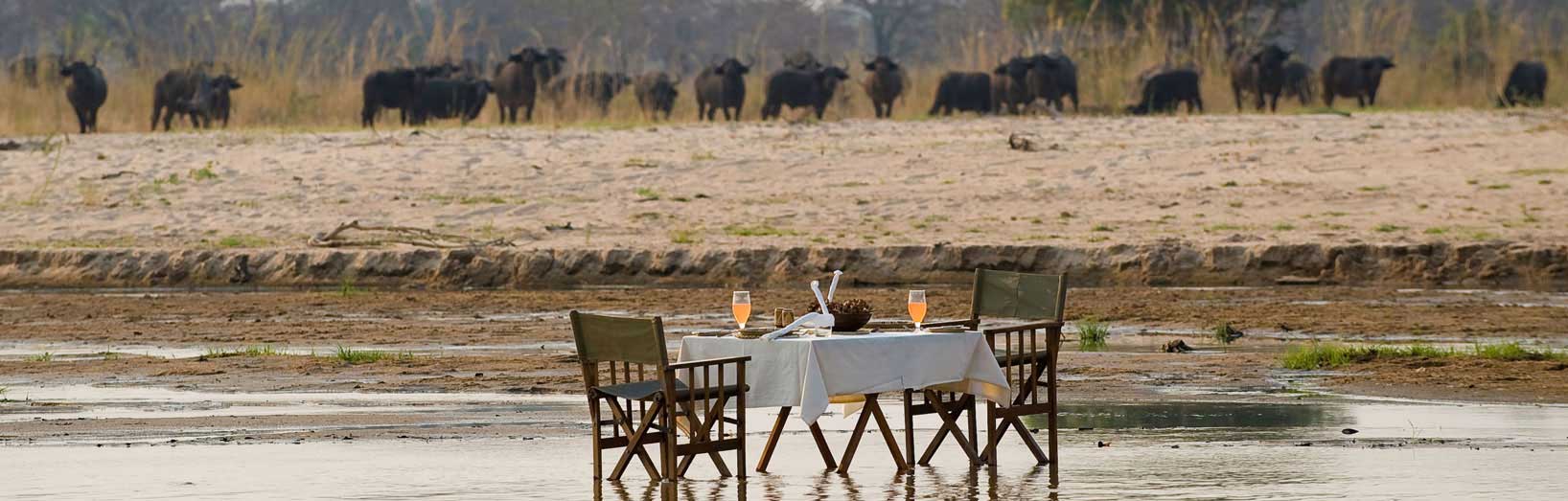 South Luangwa