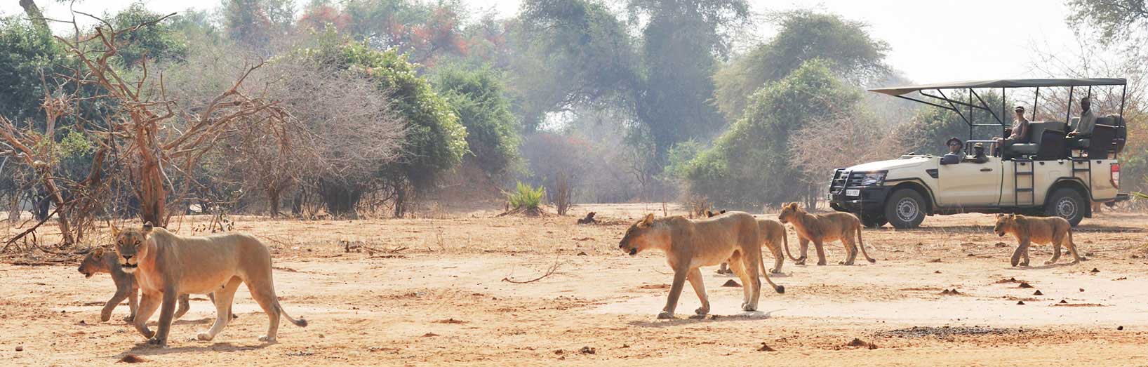 Zambia Itinerary